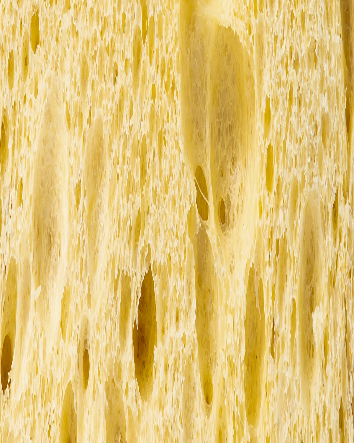 Il nostro laboratorio