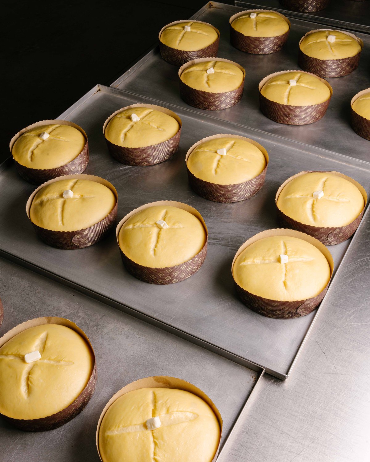 Panettoni nei pirottini prima della cottura, laboratorio Tenerità